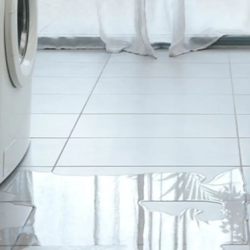 Appliance Leak Cleanup in Elk Rapids, MI